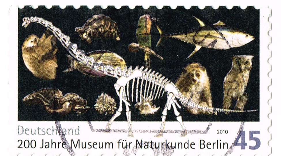 200 years Museum of Natural History, Berlin